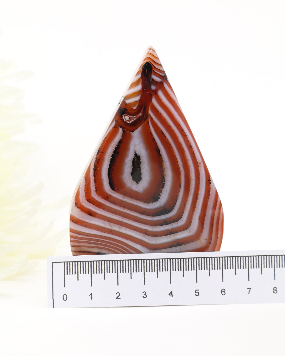 The Oracle's Eye Sardonyx Freeform