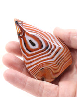 The Oracle's Eye Sardonyx Freeform