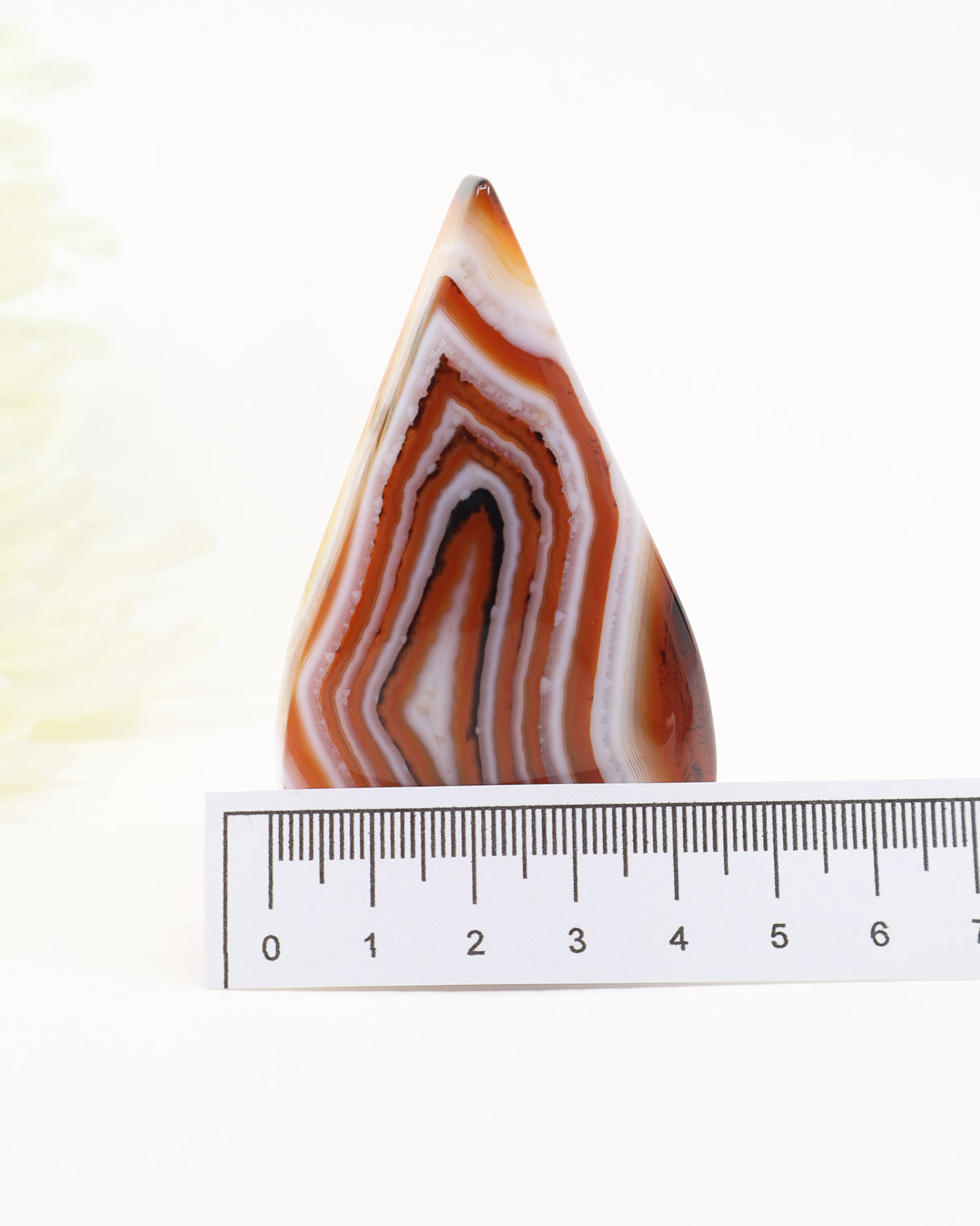 The Seeker's Flame – Sardonyx Freeform