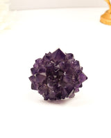 62g Uruguay Amethyst Rose featuring deep purple crystal points and natural rose formation from Uruguay. Premium collector quality Amethyst specimen.