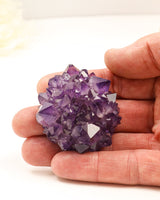 62g Uruguay Amethyst Rose featuring deep purple crystal points and natural rose formation from Uruguay. Premium collector quality Amethyst specimen.
