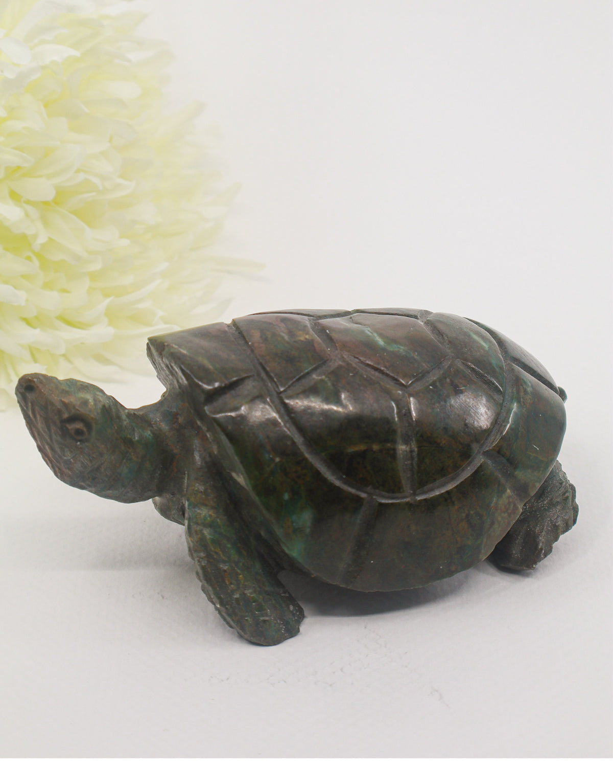 Verdite Turtle Carving 693g – The Ancient Guardian | Wisdom, Grounding & Heart Healing