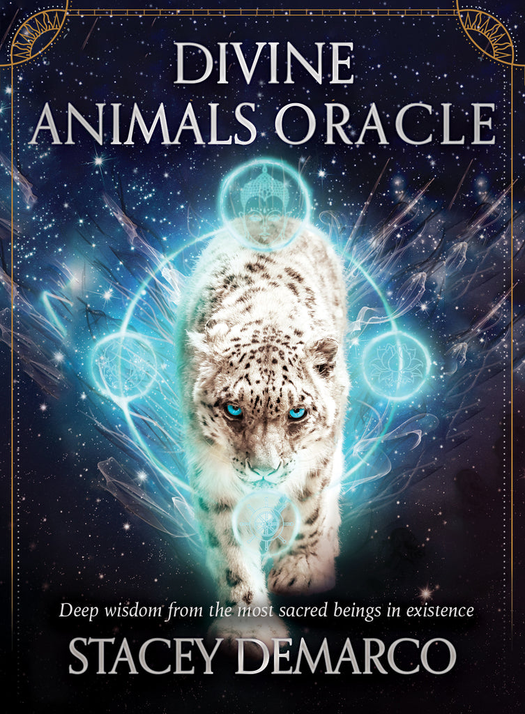 Divine Animals Oracle  - Stacey Demarco. Inspired By 3 Australia