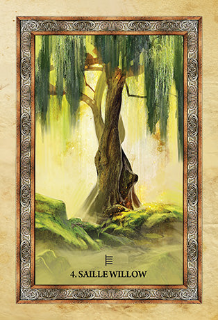 Celtic Tree Oracle by Sharlyn Hidalgo & Illustrated by Jimmy Manton