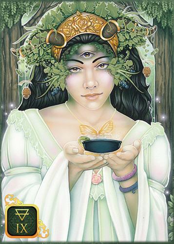 Dreams of Gaia Pocket Edition Tarot Cards Inspired By 3 Australia AfterPau available