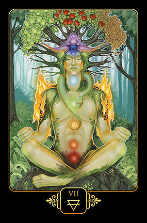 Dreams of Gaia Tarot Cards - Inspired By 3 Australia - AfterPay. 