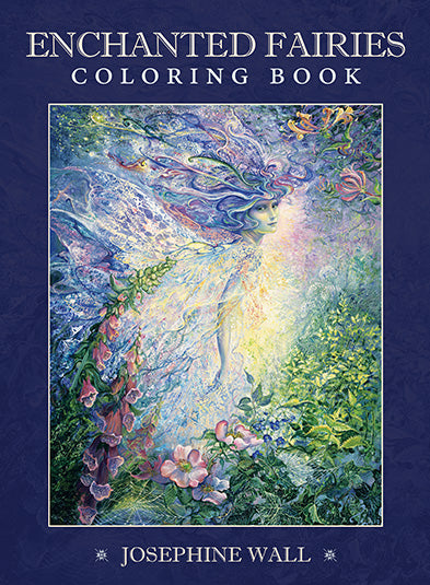 Enchanted Fairies Coloring Book