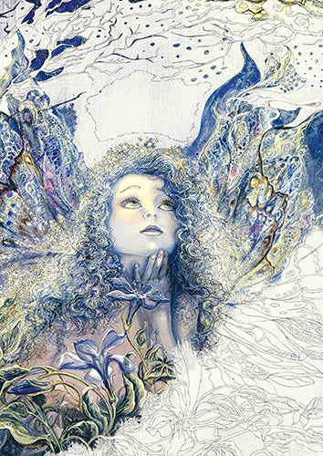 Enchanted Fairies Coloring Book