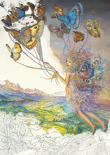 Enchanted Fairies Coloring Book