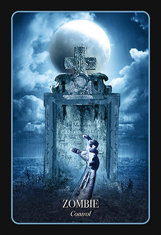 The Halloween Oracle Lifting the Veil Between the Worlds Every Night by Stacey Demarco