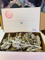 White Sage tips and sticks (home grown) - 60g