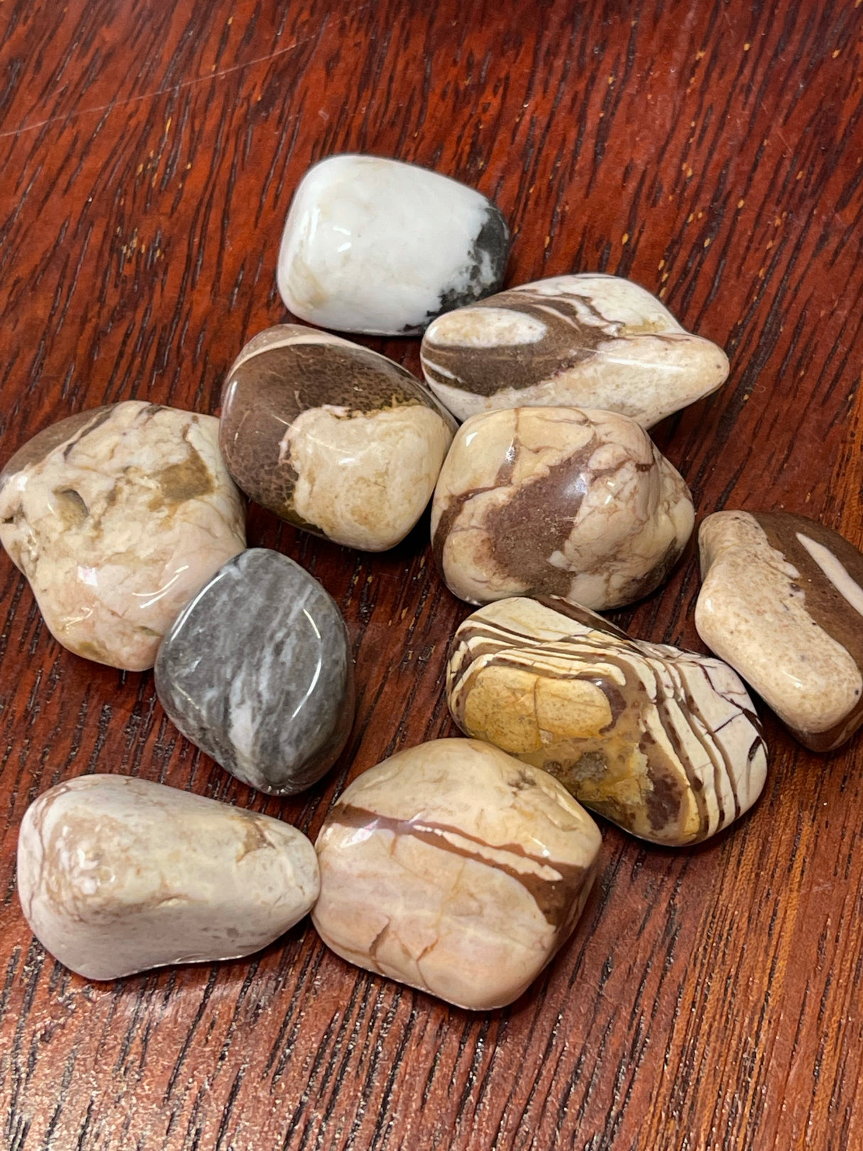 Zebra Jasper Tumbled - Grounding. Yin & Yang