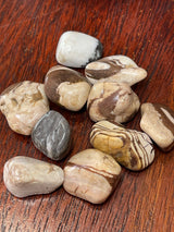 Zebra Jasper Tumbled - Grounding. Yin & Yang
