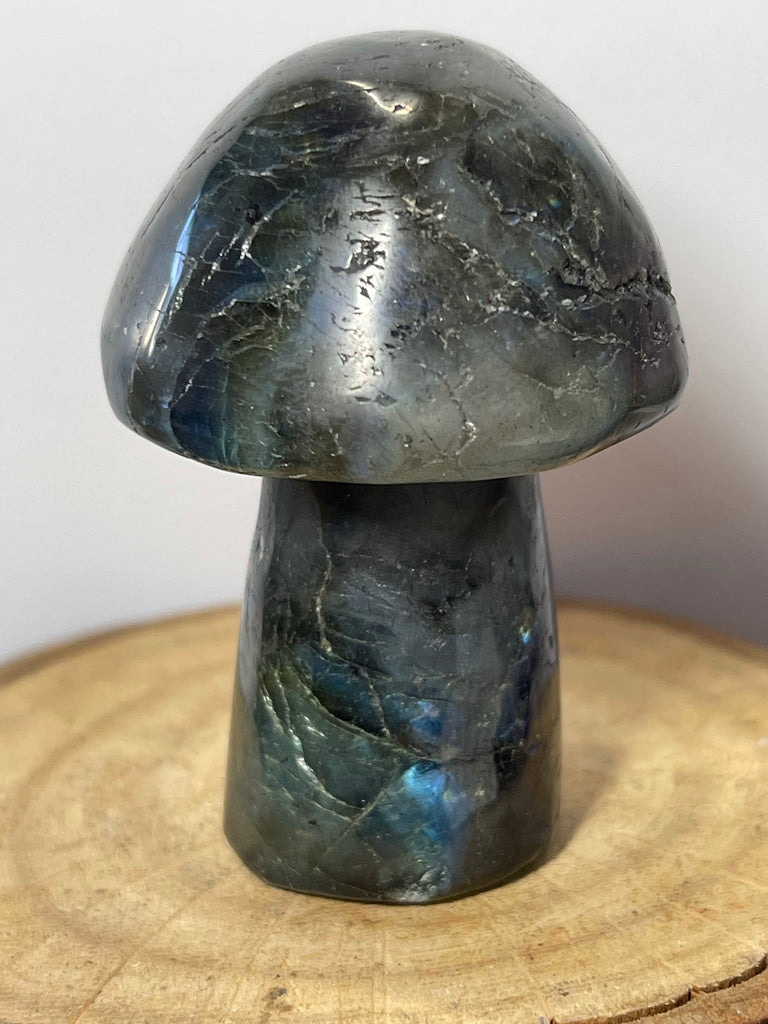 Labradorite Mushroom Carving 93g