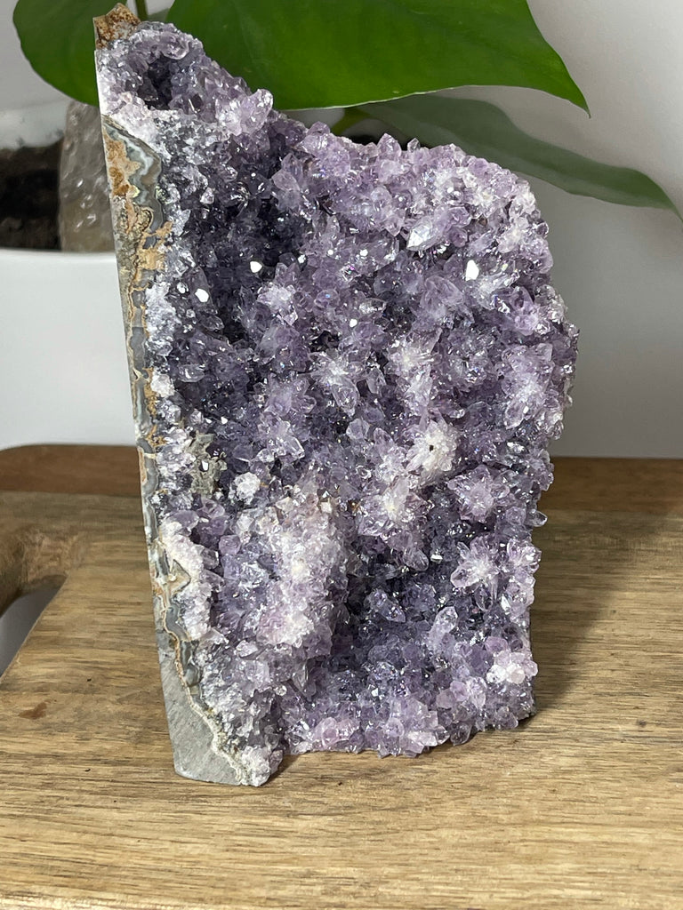 Amethyst Cluster 1025g - Protection. Intuition. Healing.