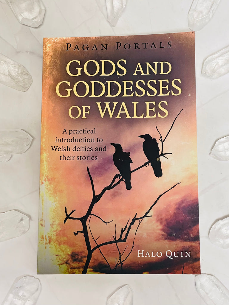 Pagan Portals: God and Goddesses of Wales