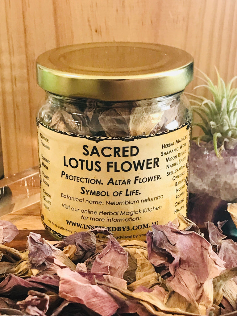 Sacred Lotus Petals 25g - Protection & Love.