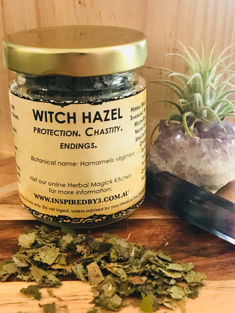 Witch Hazel - Protection. Chastity. Endings.