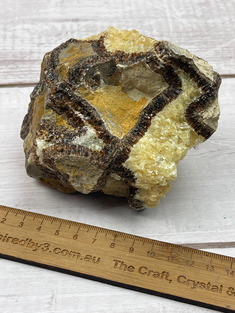 Septarian Nodule Rough 840g - Dragon Stone  - Strength. Happiness.