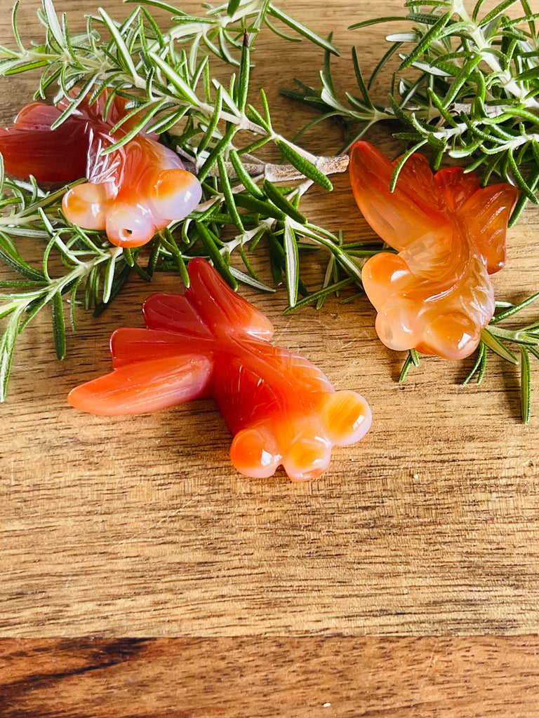 Carnelian Goldfish Carving - Good Luck - Courage