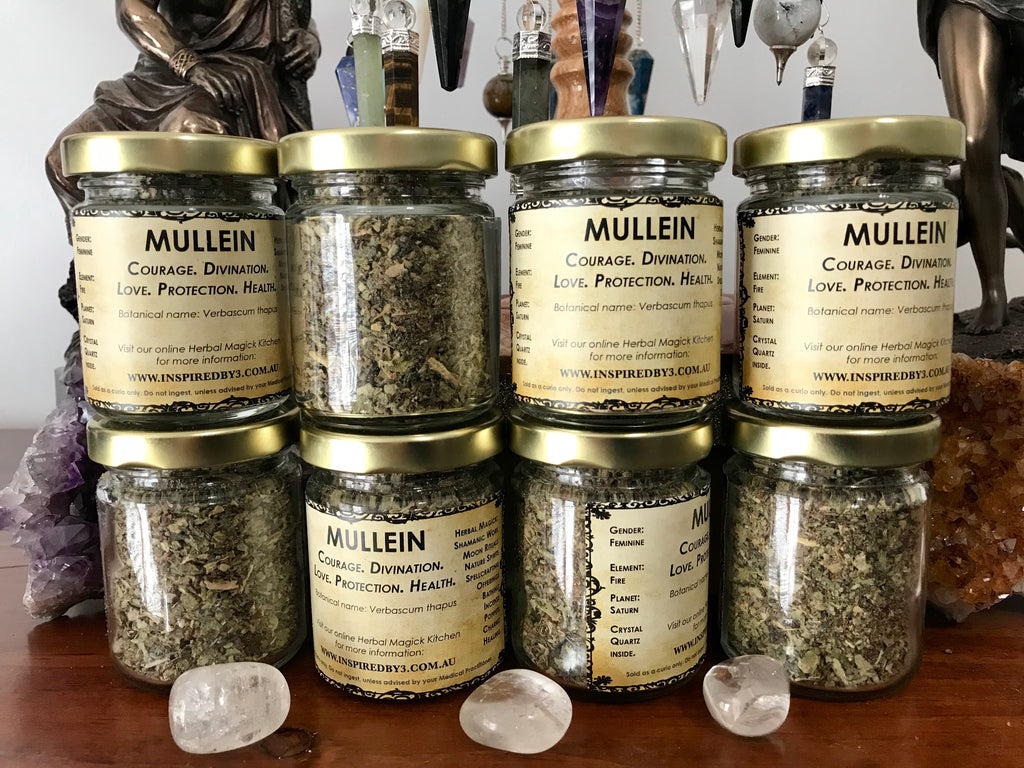 Mullein  - Courage. Divination. Love. Protection. Health.