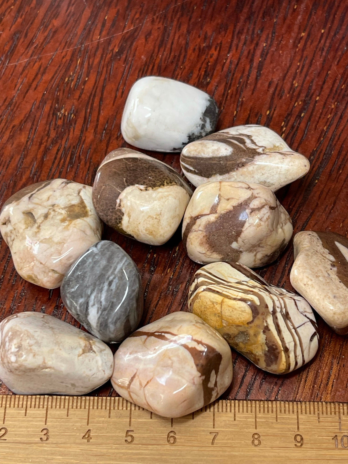 Zebra Jasper Tumbled - Grounding. Yin & Yang