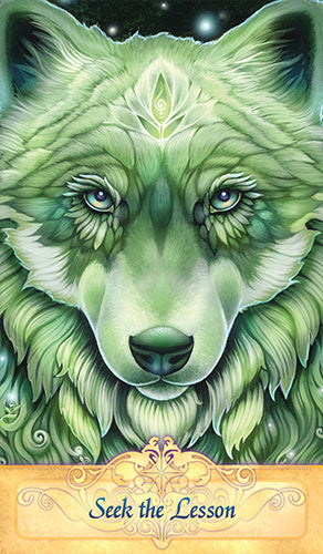 Messenger Oracle Cards 2nd Edition - Ravynne Phelan Inspired By  3