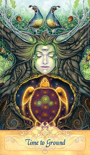 Messenger Oracle Cards 2nd Edition - Ravynne Phelan