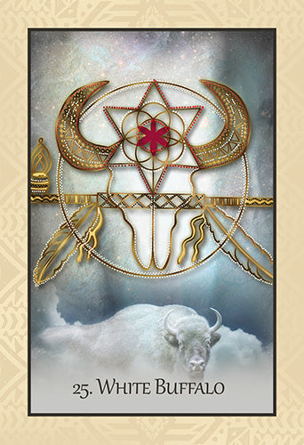 The Native Heart Healing Oracle 42 Sacred Mandalas for Raising your Vibration by Melanie Ware