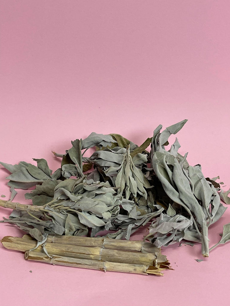 White Sage tips and sticks (home grown) - 60g